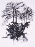 'Nurse Log', monotype