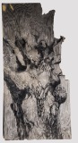 'Skin', charcoal on found plywood, 96" x 48"