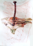 'Masthead - Nail and Knot', colored pencil and frottage drawing