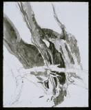 SauvieIsland1