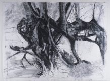 'Sauvie Island Roots', charcoal on paper