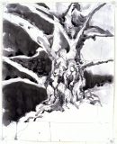 'Beech Tree Sketch', pen and ink wash, 11" x 14"