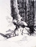 tree_ink2-scaled