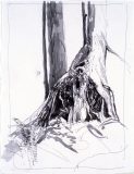 tree_ink3-scaled