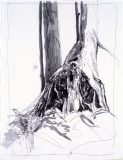 tree_ink3-scaled
