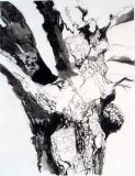 Tree Study