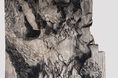 'Skin', charcoal on found plywood, 96" x 48"
