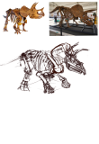 digital drawing, Animal Studies