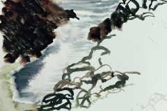 Iceland-covescape