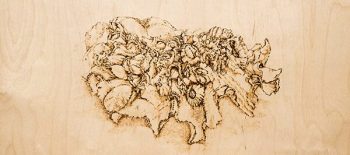 'Shell Landscape' (detail), pyrography drawing