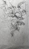 Line Study for ‘Fire lilies’ 46”h x 32”w installed