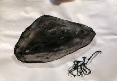 Black Stone and  Seaweed