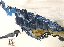 Oystercatchers’ Claim